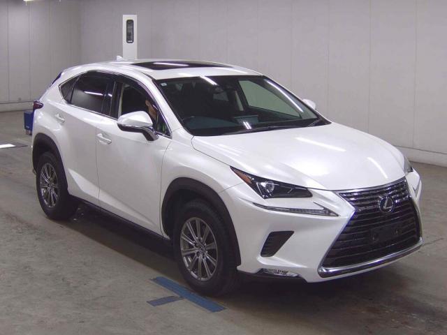 Ref:AUX-24285242 LEXUS NX 2019 1 2019 Lexus Nx pearl gasoline used car Japan export