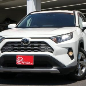 2019 Toyota Rav4 pearl gasoline used car Japan export