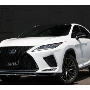 2020 Lexus Rx pearl gasoline used car Japan export