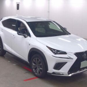 2019 Lexus Nx pearl gasoline used car Japan export