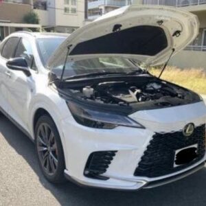2024 Lexus Rx pearl gasoline used car Japan export