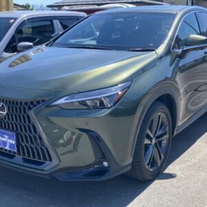 2023 Lexus Nx green gasoline used car Japan export