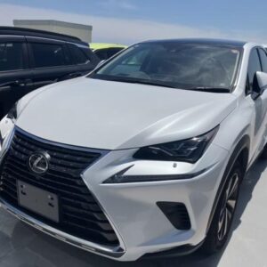 2021 Lexus Nx pearl gasoline used car Japan export