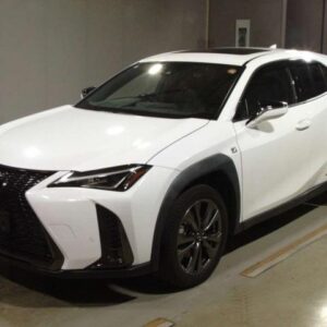 2020 Lexus Ux pearl gasoline used car Japan export