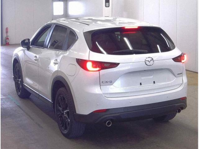 Ref:AUX-24481379 MAZDA CX-5 2023 2 Ref:AUX-24481379 MAZDA CX-5 2023 - Image 2