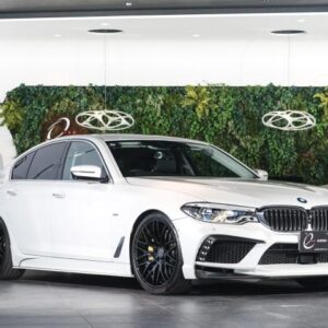 2017 Bmw 5 Series pearl gasoline used car Japan export