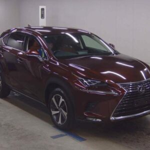 2019 Lexus Nx tea gasoline used car Japan export