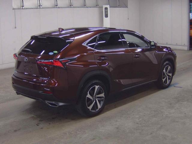 Ref:AUX-24550141 LEXUS NX 2019 5 Ref:AUX-24550141 LEXUS NX 2019 - Image 5
