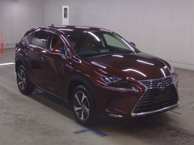 Ref:AUX-24550141 LEXUS NX 2019 1 2019 Lexus Nx tea gasoline used car Japan export