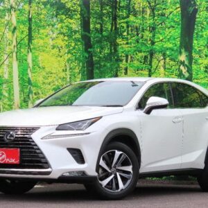 2019 Lexus Nx pearl gasoline used car Japan export