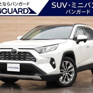 2019 Toyota Rav4 pearl gasoline used car Japan export