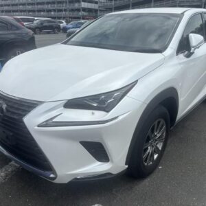 2019 Lexus Nx pearl gasoline used car Japan export
