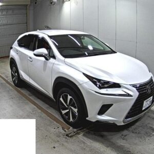 2018 Lexus Nx pearl gasoline used car Japan export