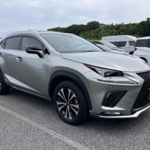 2019 Lexus Nx pearl gasoline used car Japan export