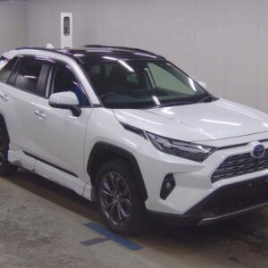 2023 Toyota Rav4 pearl gasoline used car Japan export