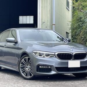 2018 Bmw 5 Series gray diesel used car Japan export
