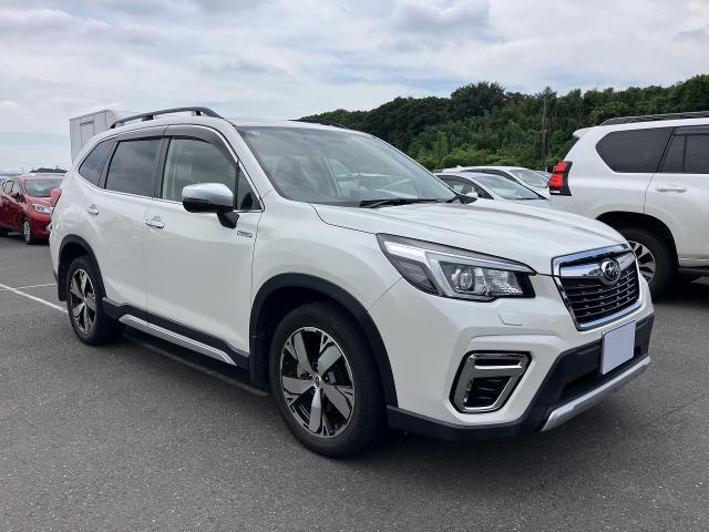 Ref:AUX-24913487 SUBARU FORESTER 2019 1 2019 Subaru Forester pearl gasoline used car Japan export