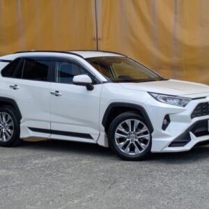 2020 Toyota Rav4 pearl gasoline used car Japan export