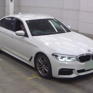 2019 Bmw 5 Series white diesel used car Japan export