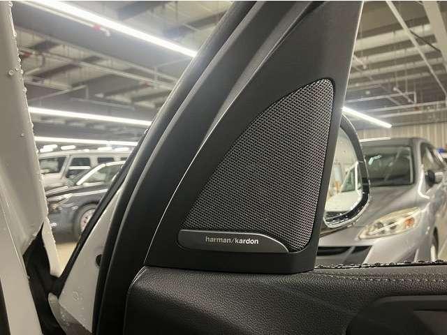 Ref:AUX-24954211 BMW X5 2021 12 Ref:AUX-24954211 BMW X5 2021 - Image 12