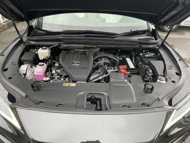 Ref:AUX-24979564 LEXUS RX 2025 20 Ref:AUX-24979564 LEXUS RX 2025 - Image 20