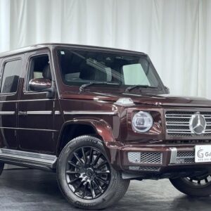 2020 Mercedes Benz G-Class wine diesel used car Japan export