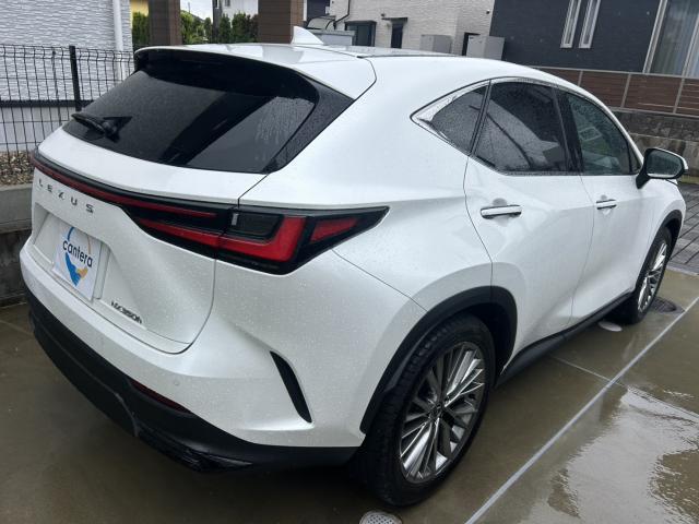 Ref:AUX-25056882 LEXUS NX 2023 2 Ref:AUX-25056882 LEXUS NX 2023 - Image 2