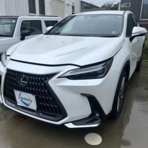 2023 Lexus Nx pearl gasoline used car Japan export