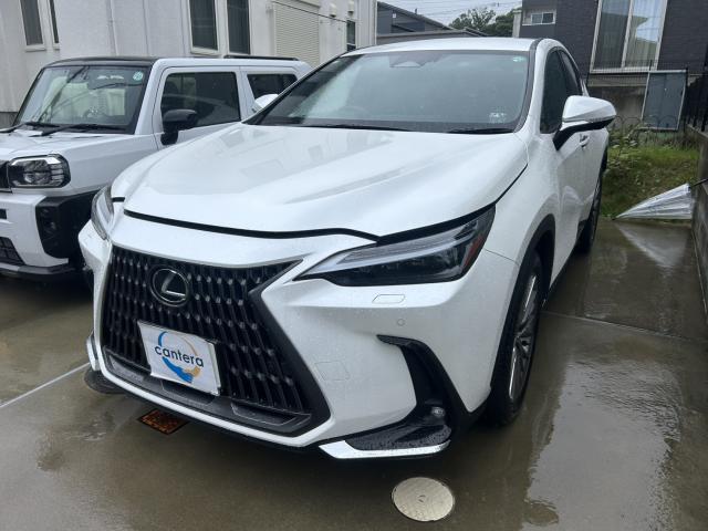 Ref:AUX-25056882 LEXUS NX 2023 1 2023 Lexus Nx pearl gasoline used car Japan export