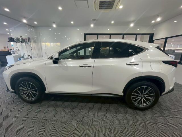 Ref:AUX-25125697 LEXUS NX 2023 18 Ref:AUX-25125697 LEXUS NX 2023 - Image 18