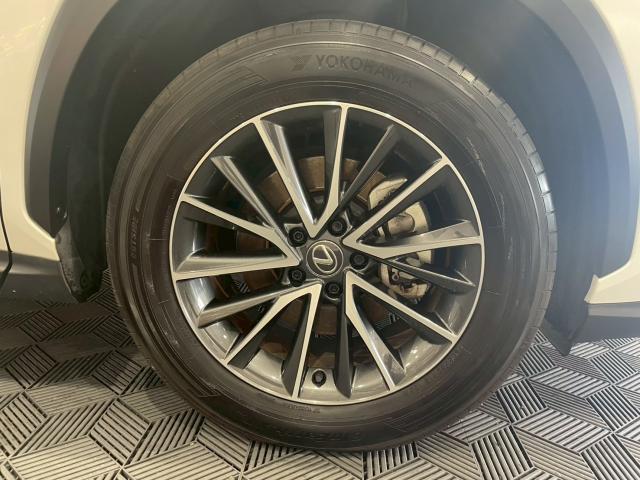 Ref:AUX-25125697 LEXUS NX 2023 20 Ref:AUX-25125697 LEXUS NX 2023 - Image 20
