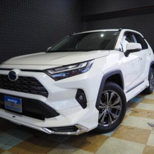 2022 Toyota Rav4 pearl gasoline used car Japan export
