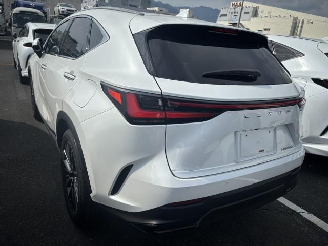 Ref:AUX-25226119 LEXUS NX 2023 4 Ref:AUX-25226119 LEXUS NX 2023 - Image 4