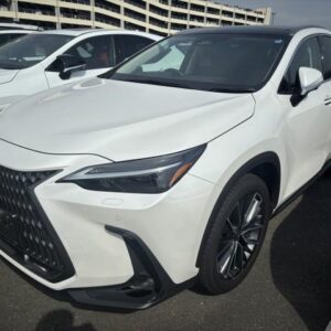 2023 Lexus Nx pearl gasoline used car Japan export