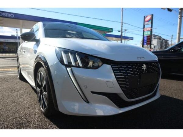 Ref:AUX-6221056 PEUGEOT 208 2020 - Image 12